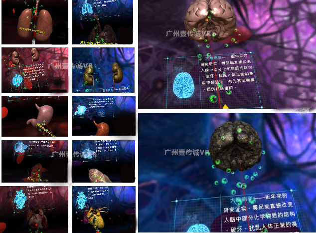 （壹傳誠VR毒品個人危害-吸毒后身體器官變化）