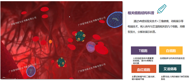 廣州壹傳誠(chéng)VR 艾滋病培訓(xùn)系統(tǒng) 防艾科普教學(xué) 防艾宣傳教育