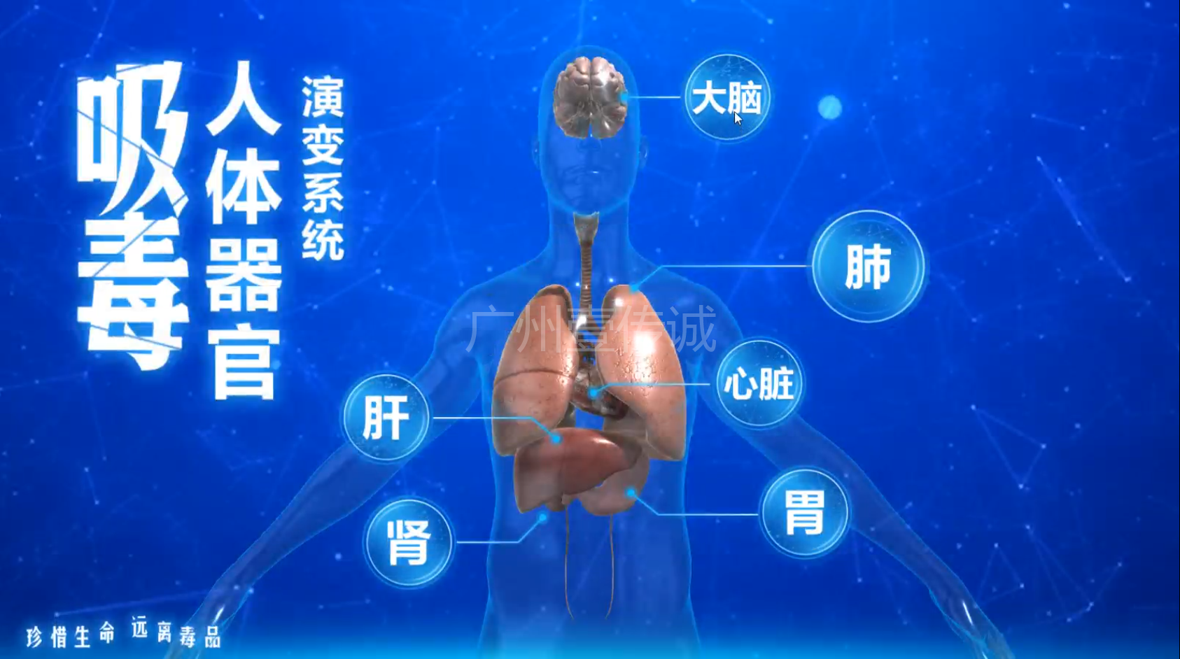 壹傳誠&mdash;&mdash;吸毒器官演變